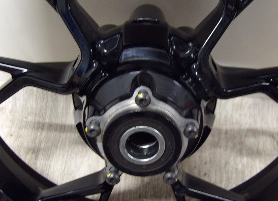 Achtervelg Ducati Multistrada 950