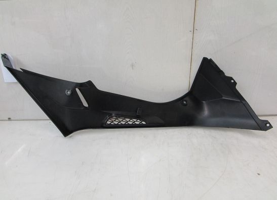 Tankschutz BMW S 1000 RR