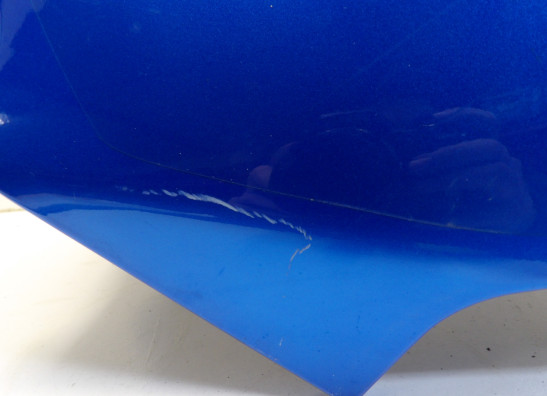 Tankschutz Kawasaki ZX 12 R