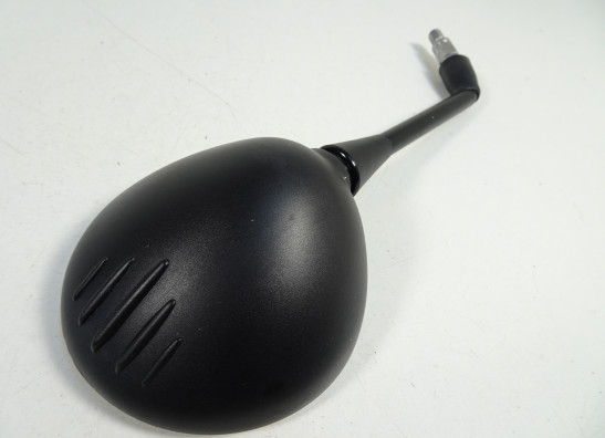 Spiegel links BMW R Nine T