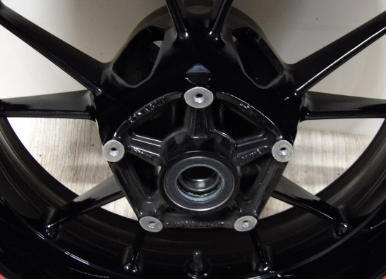 Achtervelg BMW S 1000 RR