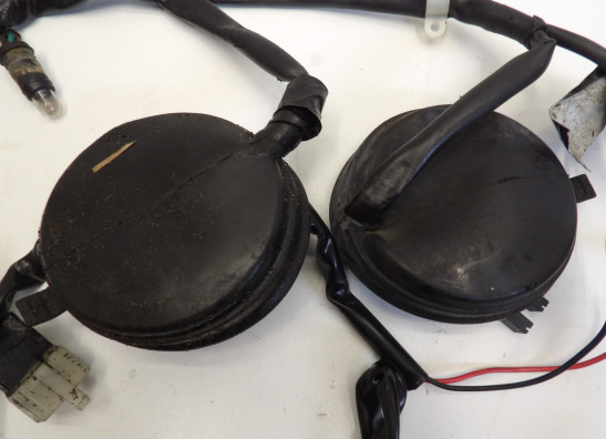 Wire harness front Honda CBF 1000