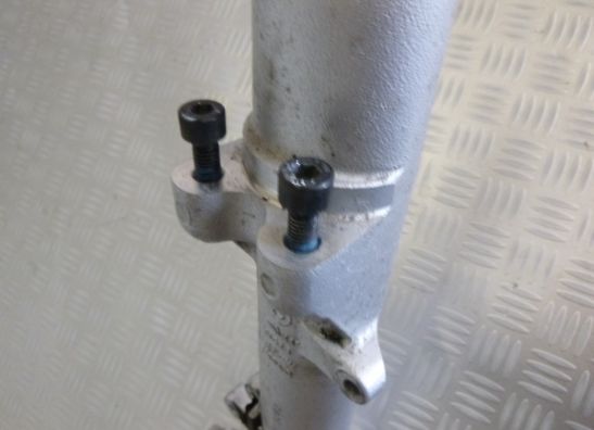 Voorpoot links compleet BMW R 1150 R