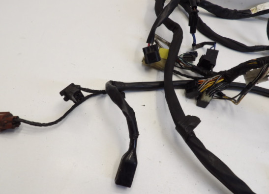 Wire Harness Suzuki VL 800