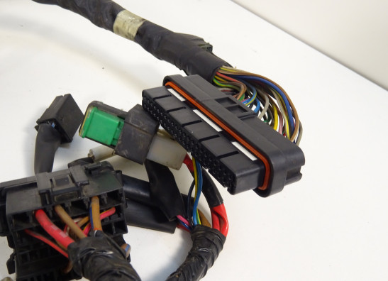 Kabelbaum Yamaha TDM