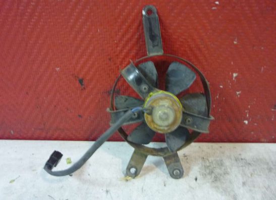Fan Yamaha YP 250 Majesty 2000-2004