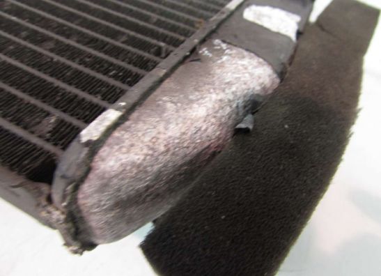 Radiator Yamaha YZF R6