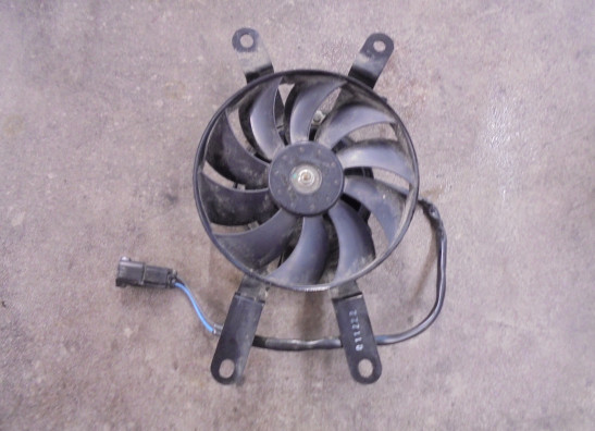 Ventilator Triumph Tiger 660 Sport