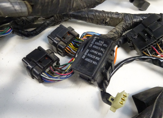 Wire Harness Kawasaki GTR 1400