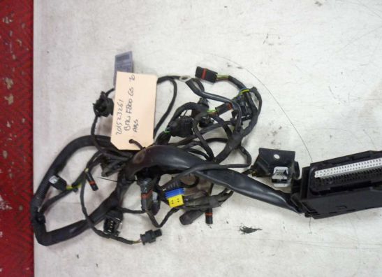 Kabelboom voor BMW F 800 GS