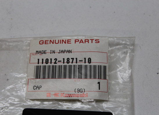 Hinterradschwinge Kawasaki Ninja 400