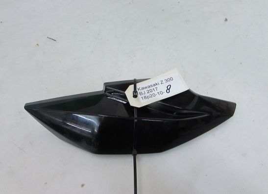 Other Kawasaki Z 300