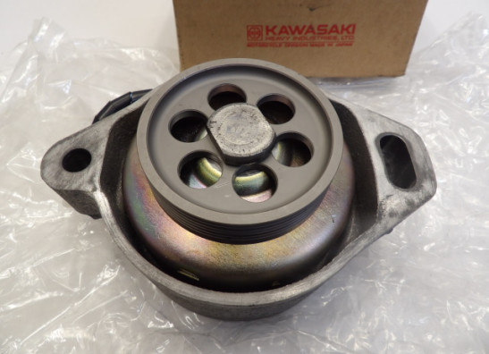 Dynamo Kawasaki ZXR 750