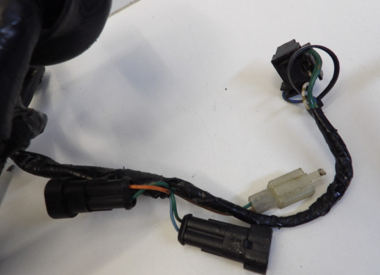 Kabelboom Honda CBR 600 F