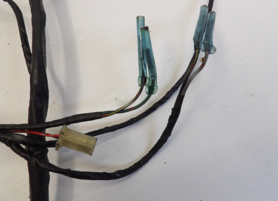 Kabelboom Kawasaki ZX 6 R