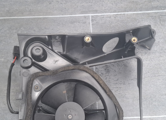 Fan Buell 1125 R