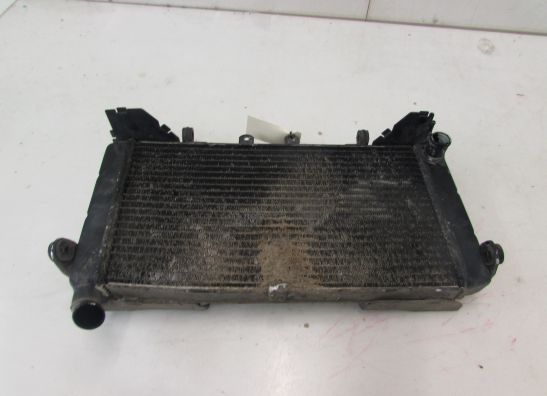 Radiator Honda CBR 600 F