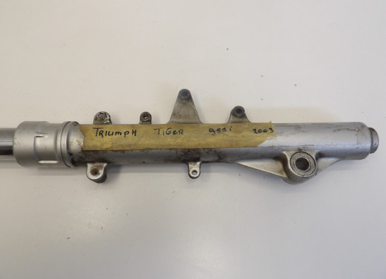 Front Fork left complete Triumph Tiger 955i
