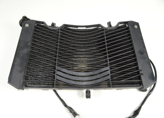Radiator Yamaha FZ1