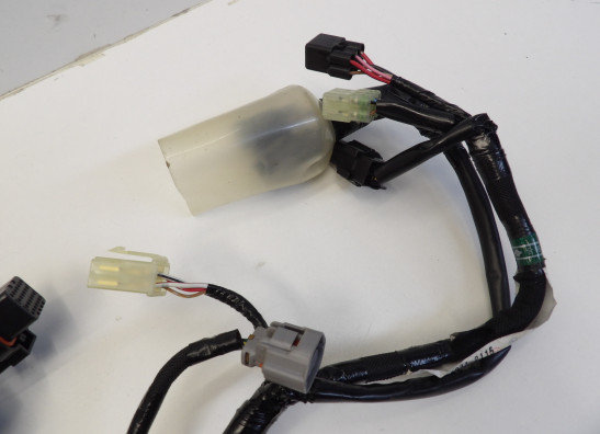 Wire Harness Kawasaki ZX 10 R