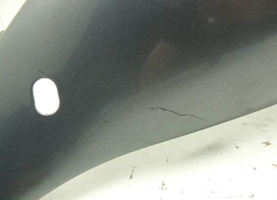 Heck links Yamaha YZF 1000 Thunderace