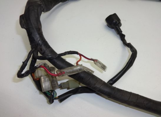 Wire Harness Yamaha FAZER 600