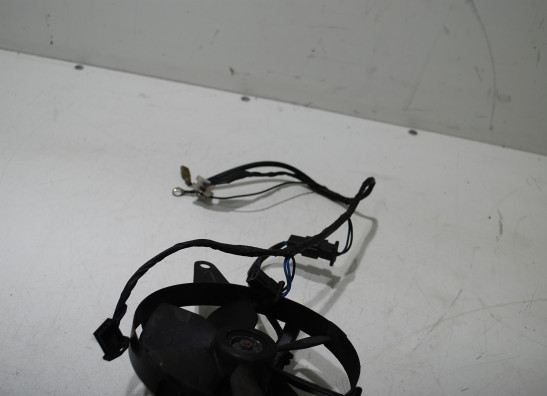 Fan Yamaha GTS 1000