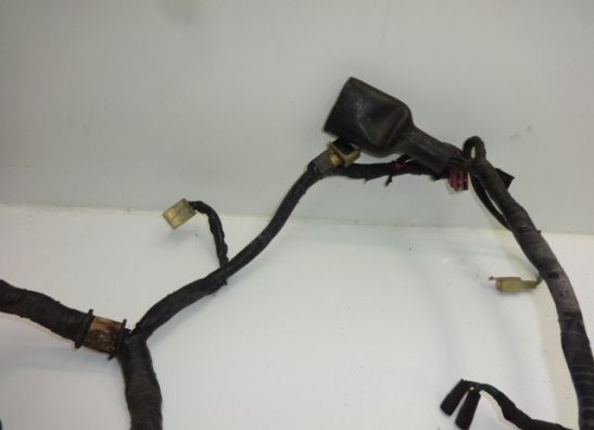 Kabelboom Honda CBX 750 F