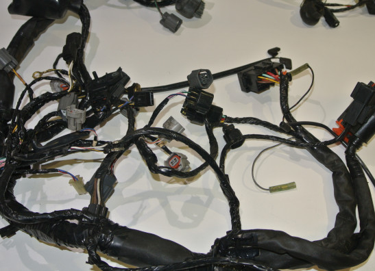 Wire Harness Kawasaki Z 750