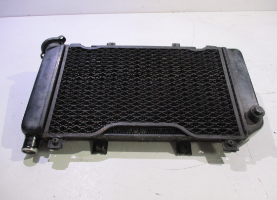 Radiateur Yamaha TDM