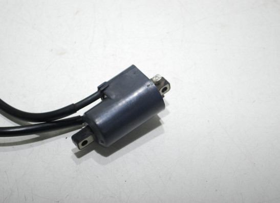Ignition Coil Suzuki GSF 600 650 Bandit 