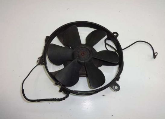 Fan Honda CBR 1000 F