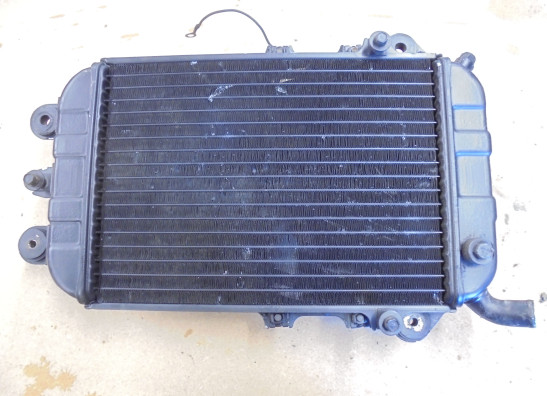 Radiator Kawasaki VN 700  750