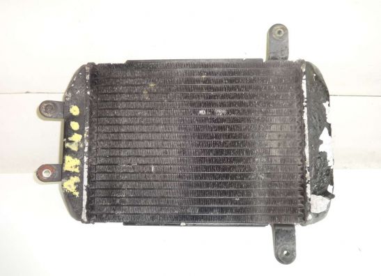 Kuhler Suzuki Burgman 400