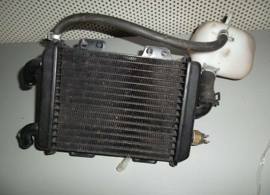 Radiateur Overig Peugot elysco 125