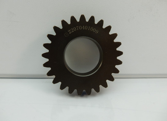 Versnellingsbak Moto Guzzi V85 TT