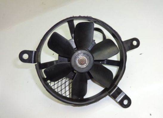 Fan Suzuki TL 1000