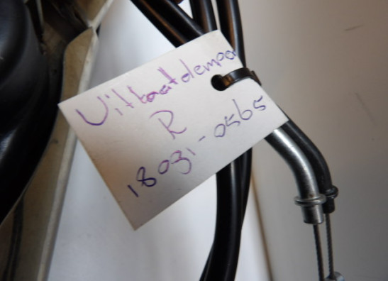 Auspuff Kawasaki Z 1000