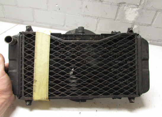 Kuhler Yamaha FZR 600