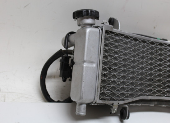 Radiateur Honda VFR 750 R - RC30