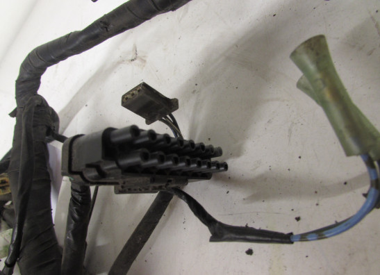 Wire Harness Honda CBR 600 F