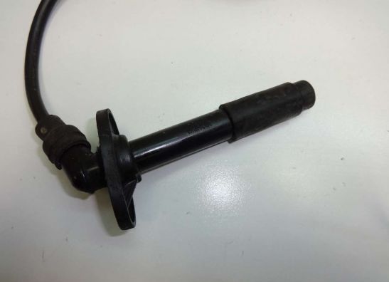 Ignition Coil Kawasaki ZZR 250