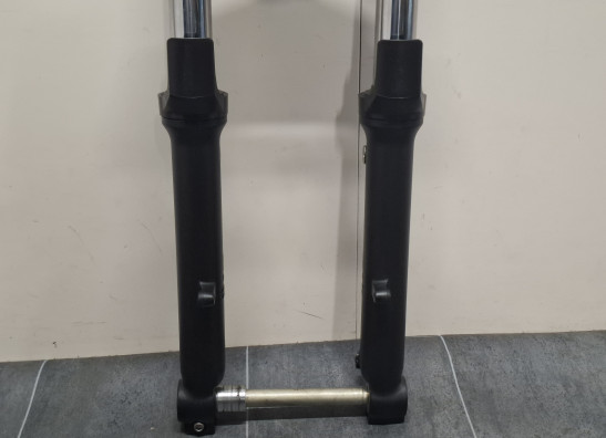 Voorpoten compleet Kawasaki Ninja 650