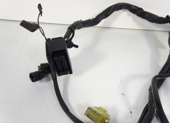 Kabelbaum Kawasaki ER 6