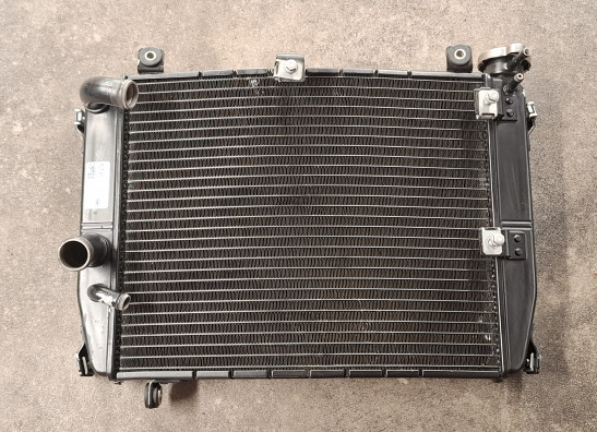 Radiateur Aprilia Tuono 660