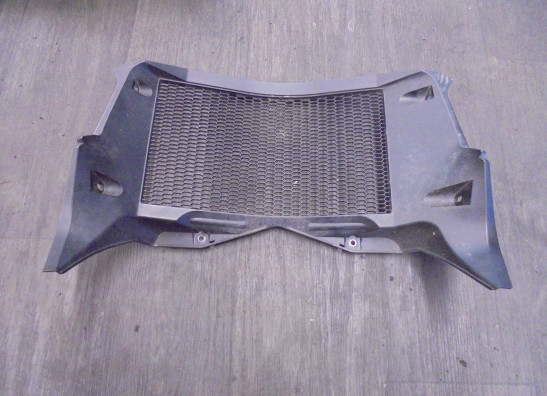 Radiator toebehoren BMW F 850 GS Adventure 2019-2020