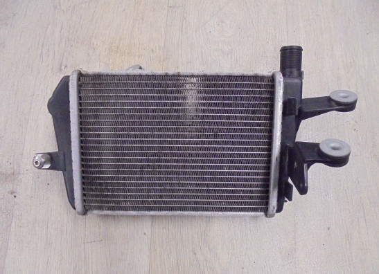 Radiateur BMW R 1250 GS