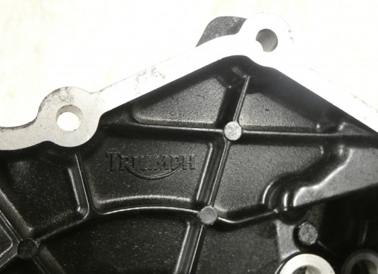 Motorblokdeksel Triumph Tiger 955i