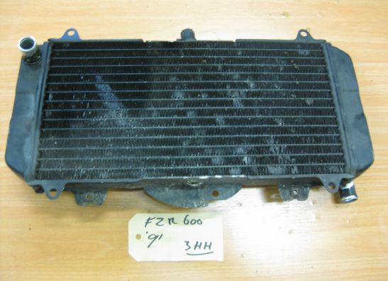 Kuhler Yamaha FZR 600