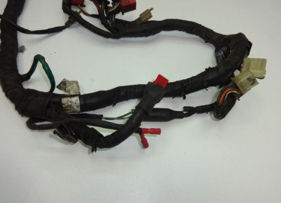 Kabelboom Honda CBX 750 F